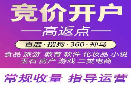 SEM服务公司成功案例解读